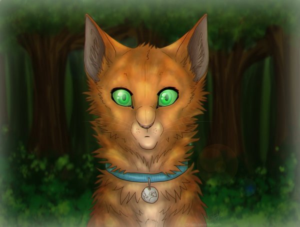 Коты Воители Огнезвёзд