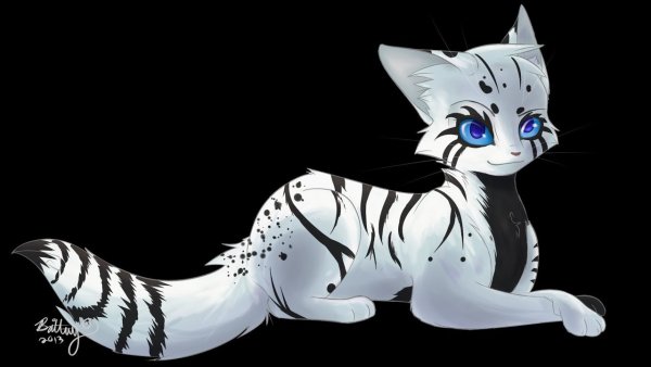 Коты Воители чëрно белая кошка