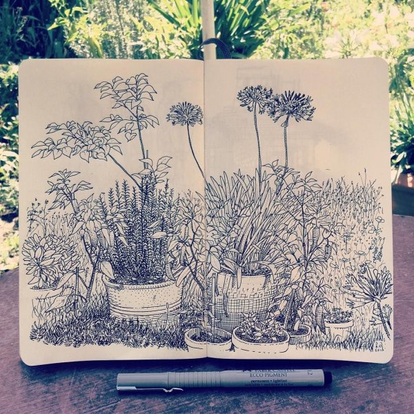 Растительность для скетчбука