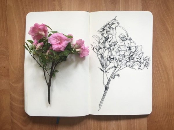 Цветы для скетчбука