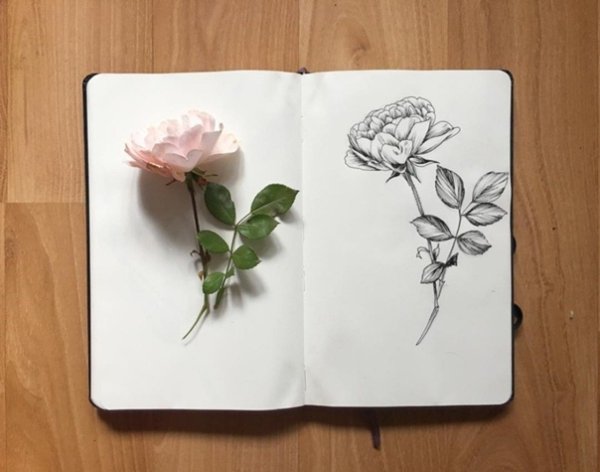 Стикеры растения