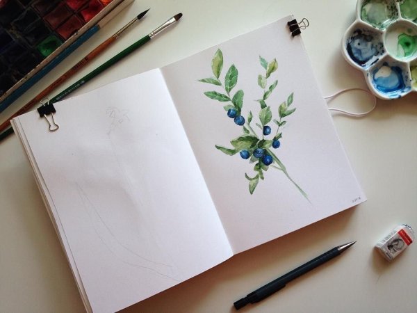 Bullet Journal цветы