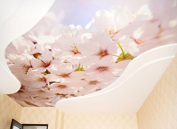 Натяжные потолки фотопечать цветы