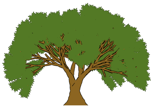 Дерево рисунок