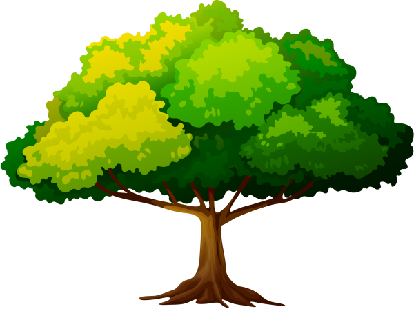 Красивое дерево с кроной для детей