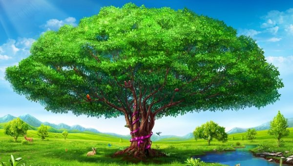 Дерево с большой кроной раскраска