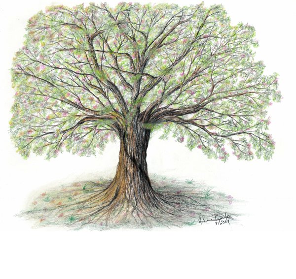 Дерево мультяшное