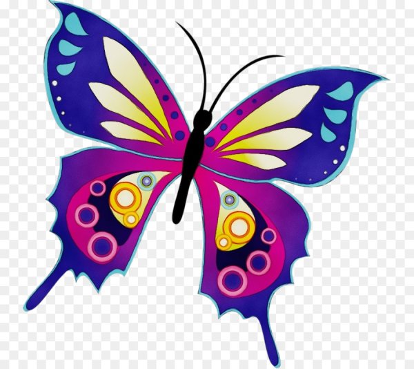 Бабочка рисунок