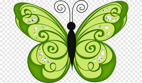 Разноцветные бабочки для детей