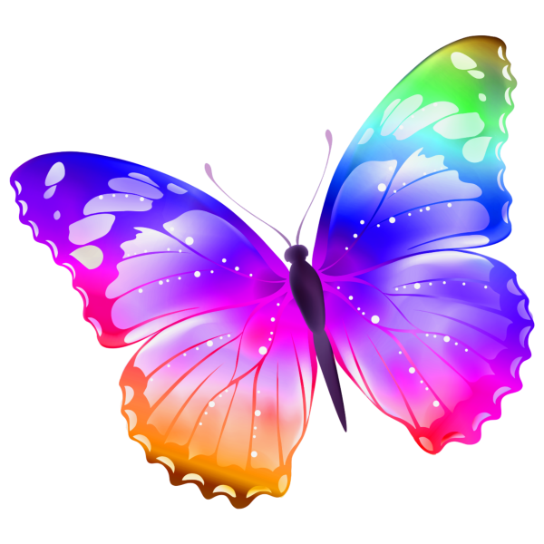 Бабочки картинки