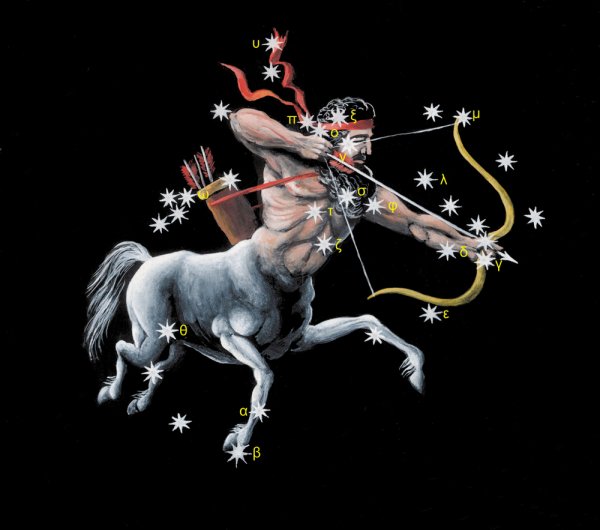 Стрелец Sagittarius
