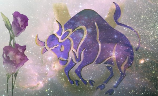 Знак зодиака Телец