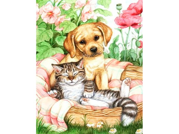 Картина котик и собачка