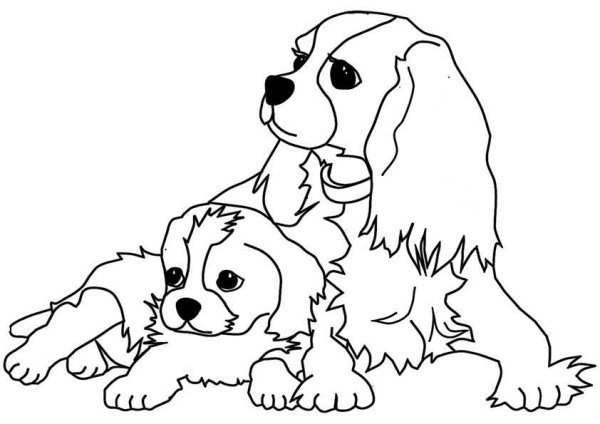 Раскраска "собаки"