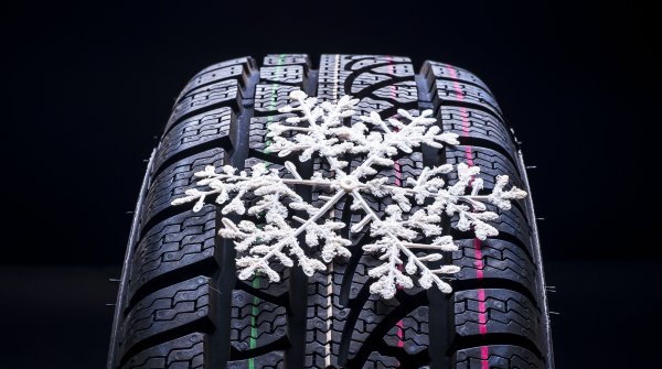 Протектор Снежинка