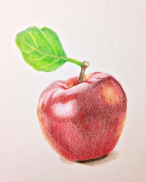 Яблоко для рисования