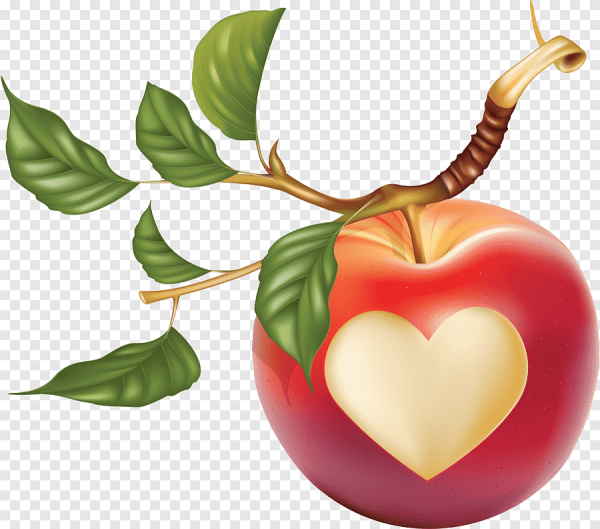 Яблоко с сердечком