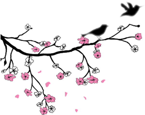 Сакура очертание