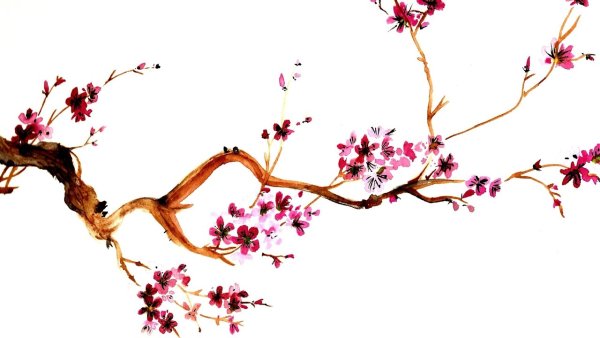 Японские веточки деревьев