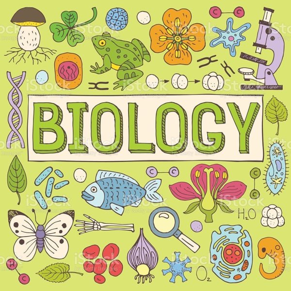 Наклейки по биологии