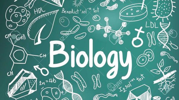 Фон связанный с биологией