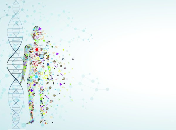 Урок биологии