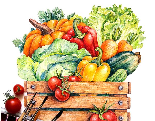 Овощи скетч