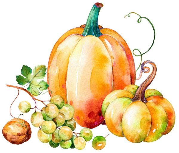 Фрукты рисунок