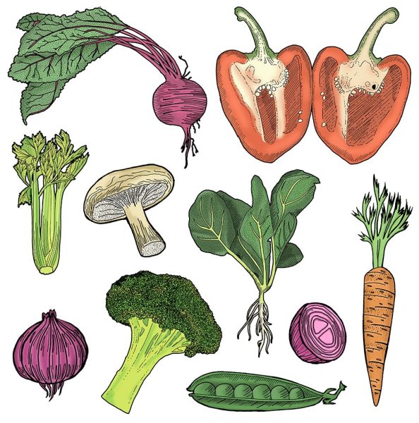 Овощи рисунок