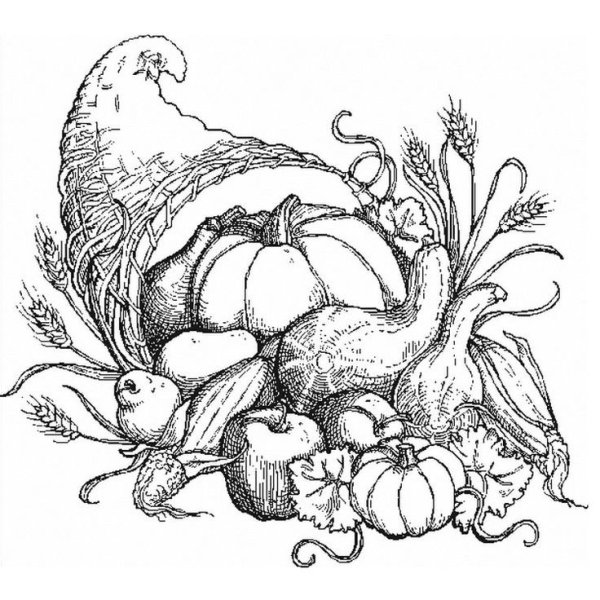 Натюрморт с овощами карандашом