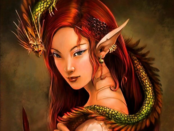 Девушка и дракон