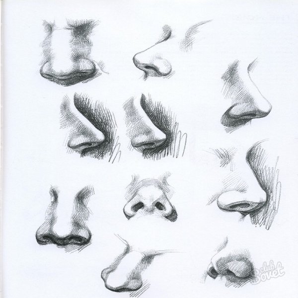 Нос рисунок
