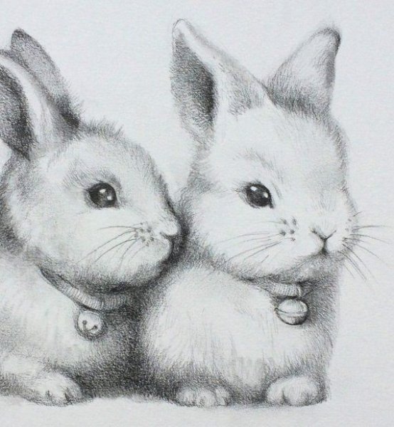 Мордочки животных акварель