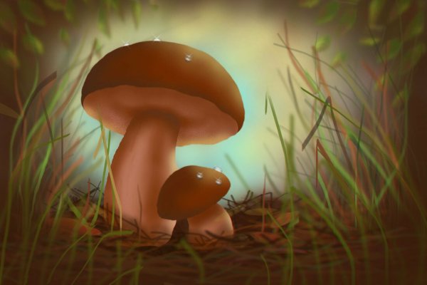 Гриб рисунок