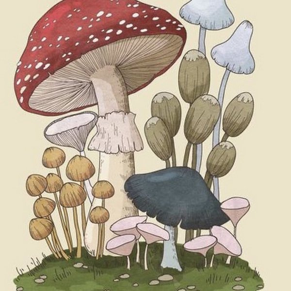 Мухомор для дошкольников