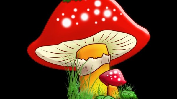 Мухомор цветными карандашами