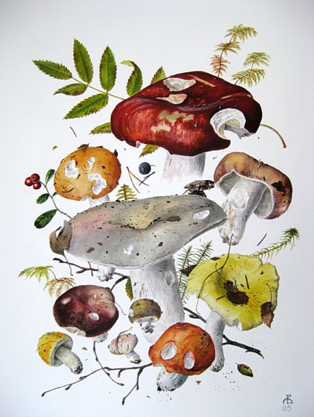 Красивый мухомор