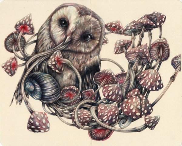 Необычные рисунки