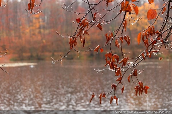 Дождливая осень