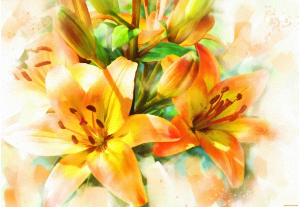 Лилии арт