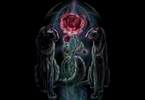 Девушка во тьме