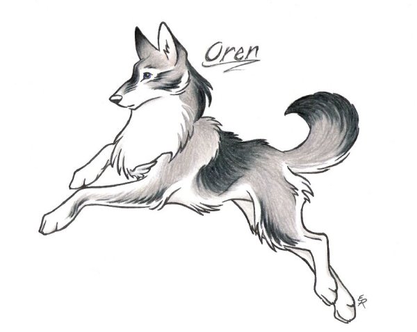 WILDSPIRITWOLF волки