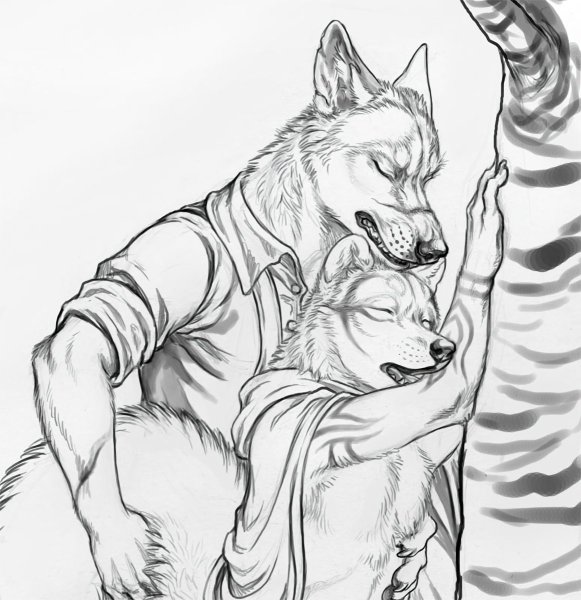 Волчонок карандашом