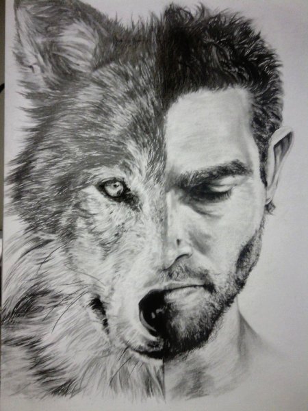 Дерек Хейл Волчонок нарисовать