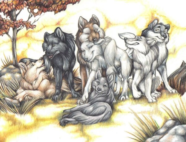 Семь Волков