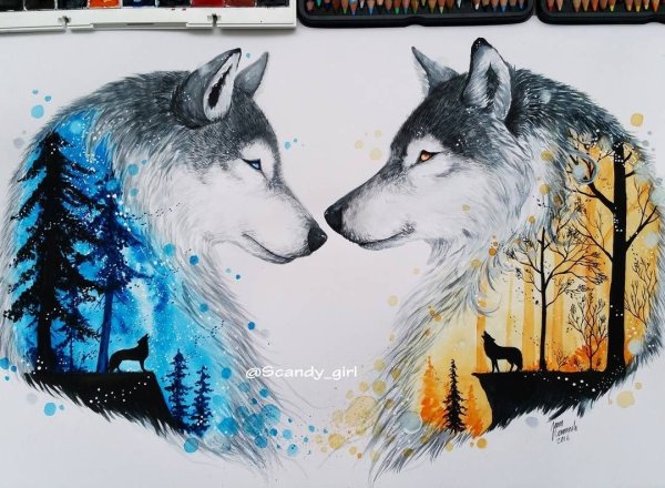 Волк и волчица рисунок