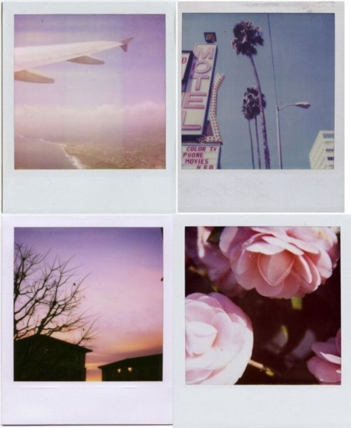 Красивые снимки полароид