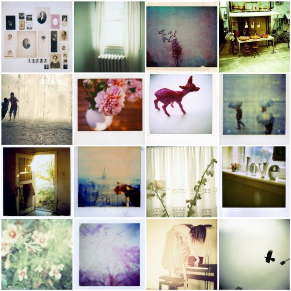 Polaroid 200 bf снимки