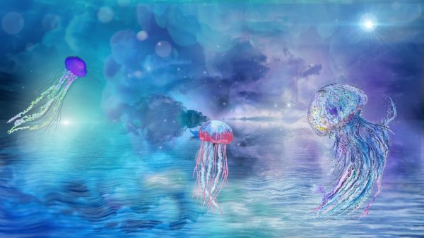 Фантастические медузы