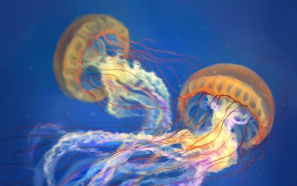 Медуза в космосе